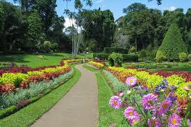 Kandy - Gallery Image 1